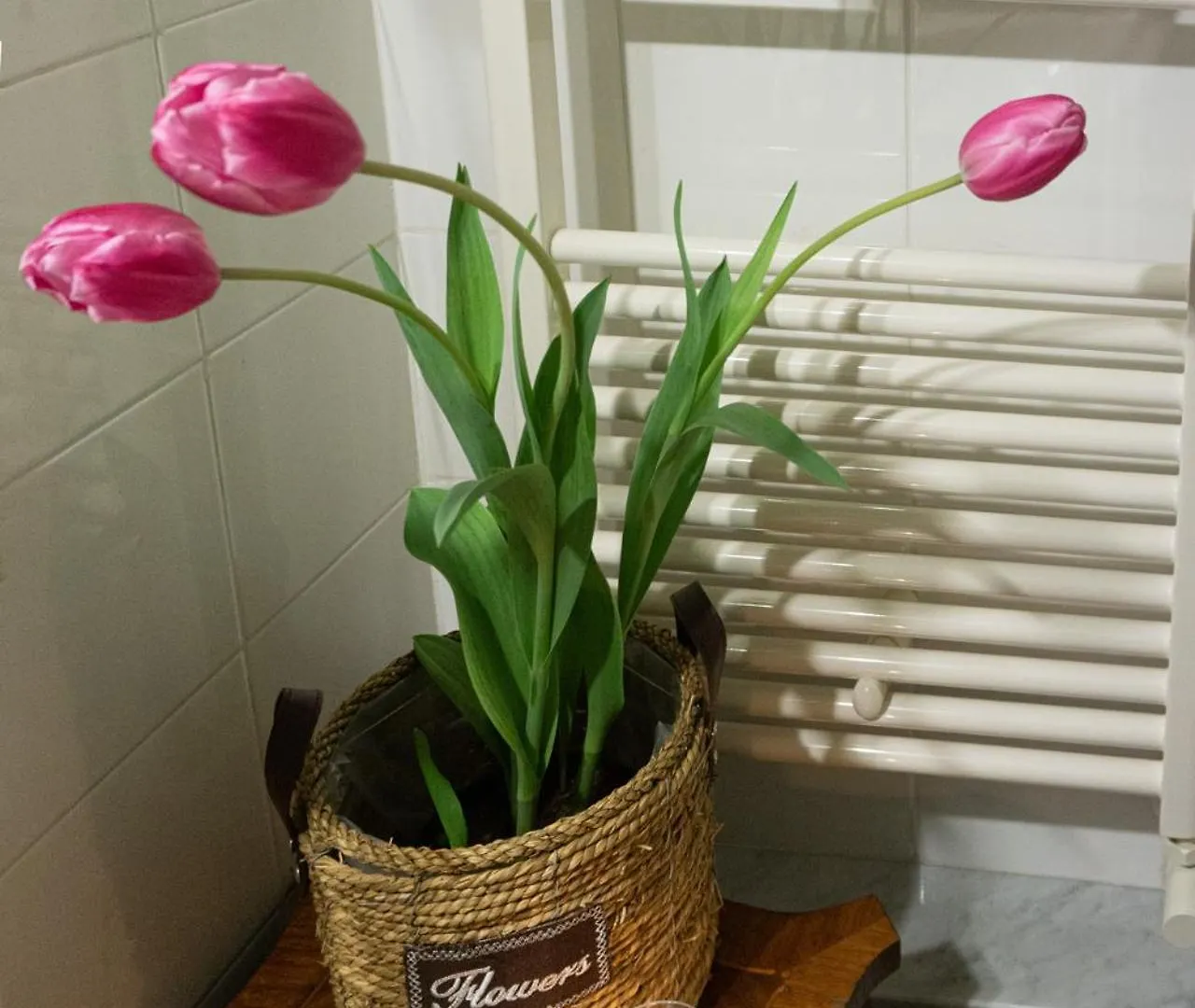 Bed & Breakfast Santa Caterina Da Siena B&B Catania Italy